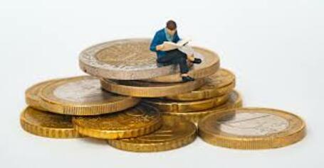 Ens cal un perfil econòmic