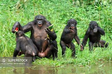 Mancomunar serveis de subministraments  i neteja